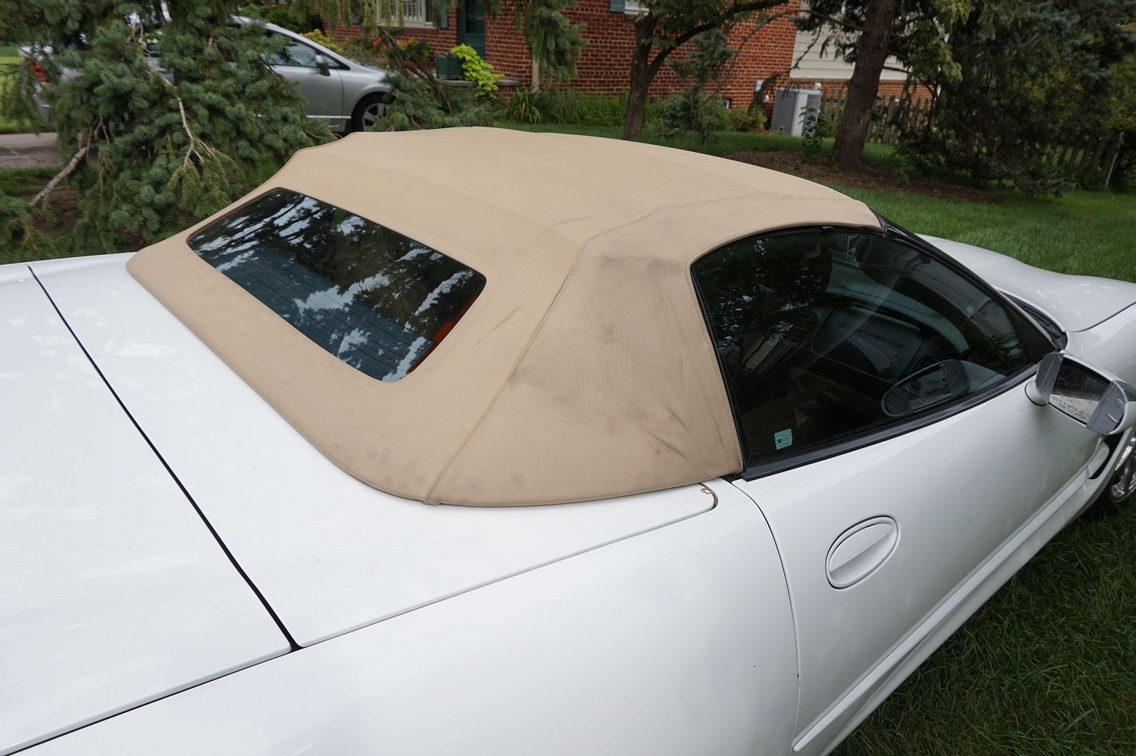 Mold/Mildew stained Tan convertible top wont clean up Help Page 4